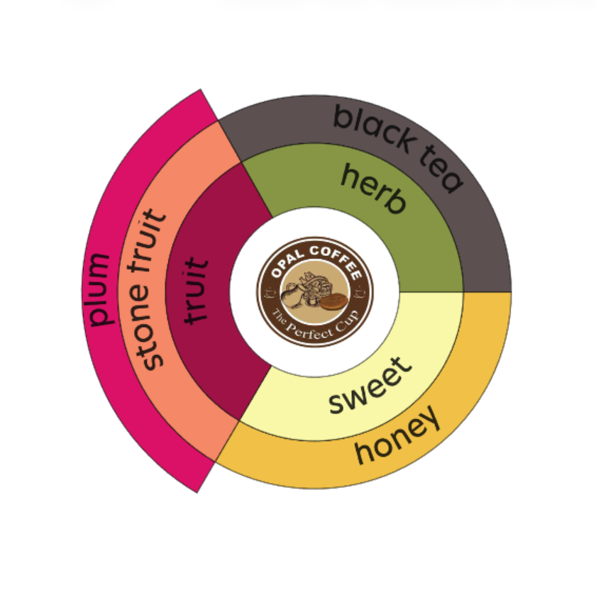 Colombia Jose German Cabrera Narino Castillo Washed